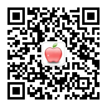 同志代孕公司