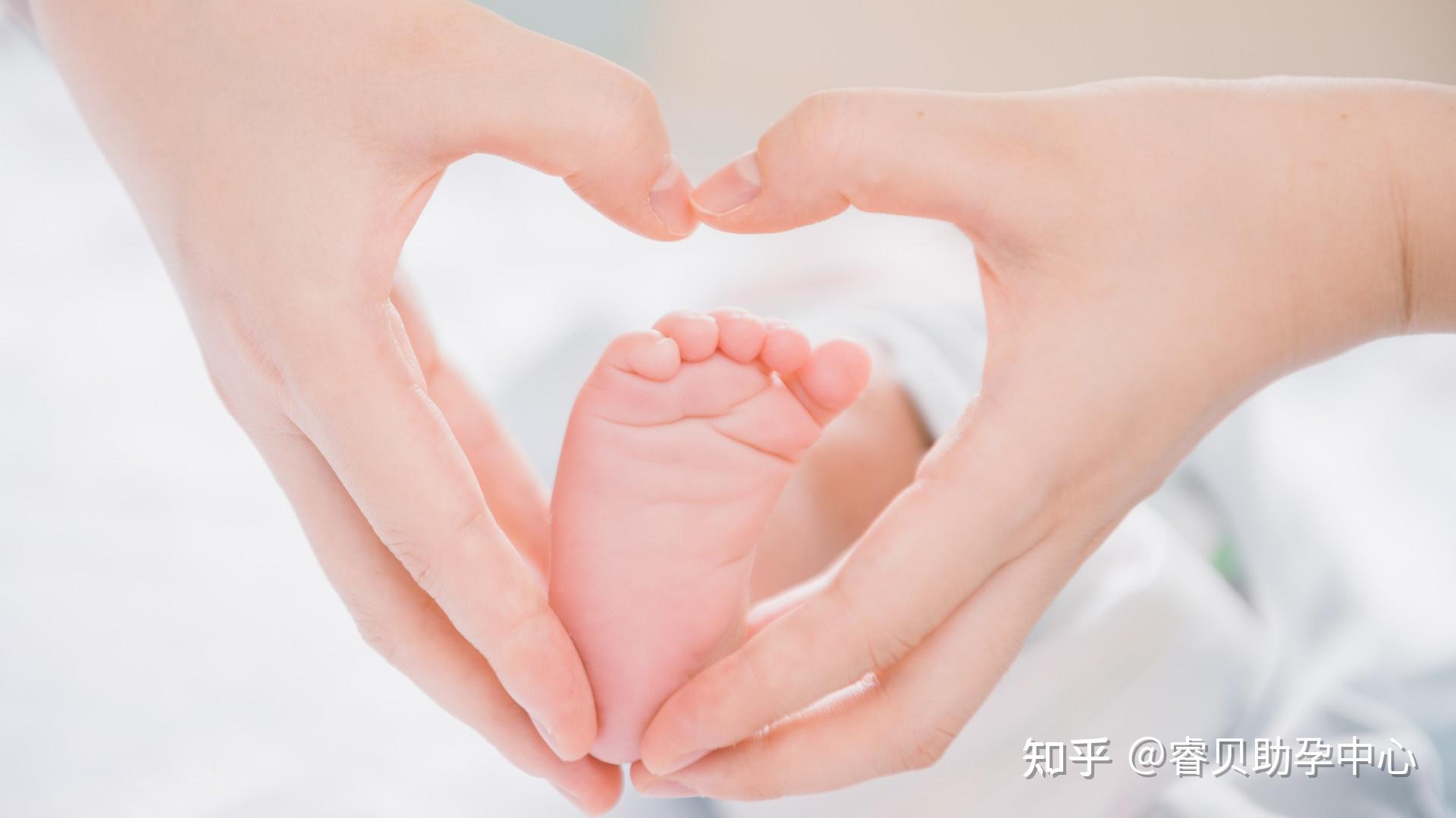 中国试管代孕机构-孕育希望之舟——龙海专业助孕服务