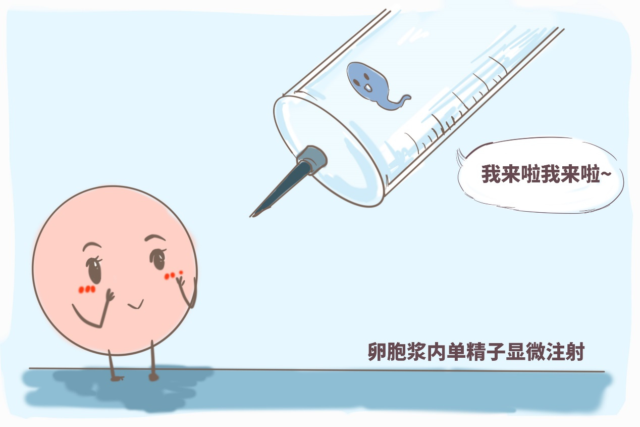 中国试管代孕中心：开启助孕新希望——联系方式揭晓”